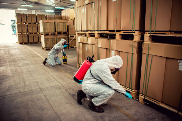 Flea Control Services in Cienega Springs, AZ