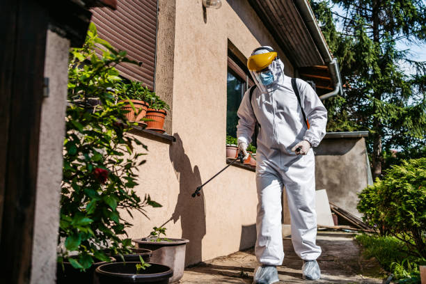 Best Mosquito Control Services  in Cienega Springs, AZ
