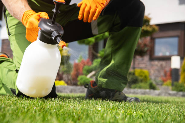 Best Best Pest Control Companies  in Cienega Springs, AZ