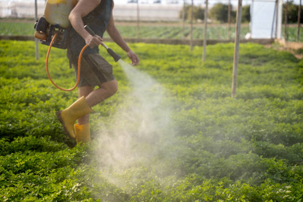 Best Wildlife Control Services  in Cienega Springs, AZ