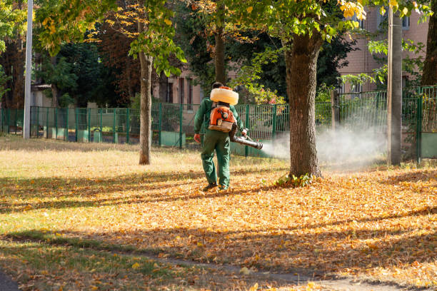 Best Pest Control Treatment  in Cienega Springs, AZ