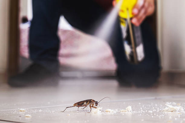 Best Cockroach Control Services  in Cienega Springs, AZ